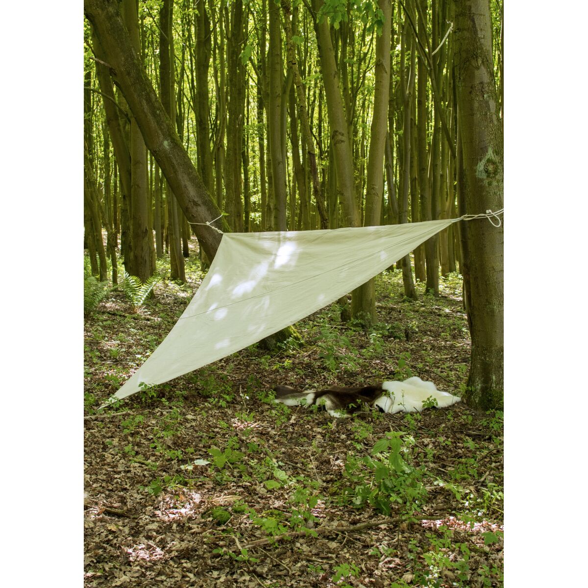 Dreieck-Lagerplane / Sonnensegel mit Schlaufen, 250g/m², naturfarben, 4 Meter