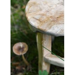 Kleiner Holz-Hocker, ca. 31 cm hoch
